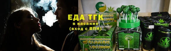 индика Костерёво