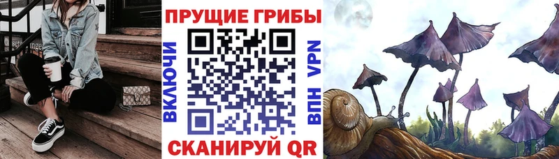 Псилоцибиновые грибы Magic Shrooms  Гурьевск 